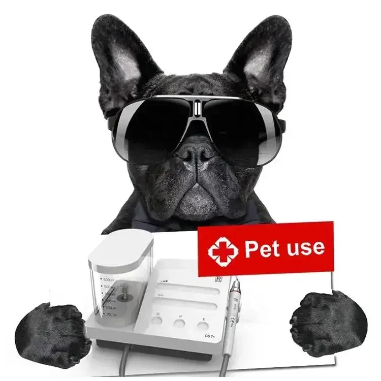 2025 LED Handpiece Pet Hospita - огляд і ціна Dental Scaler Ultrasonic