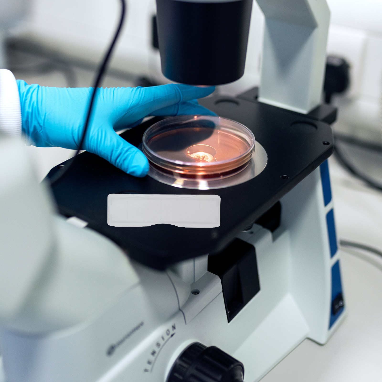 100Pcs Plastic Microscope Slid - огляд і ціна Pathology Slide Storage